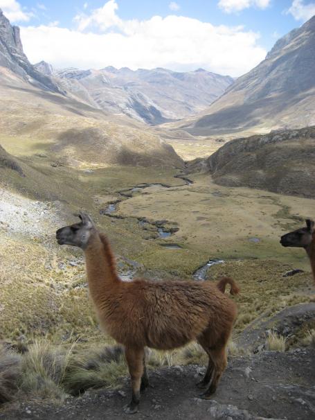 Peru