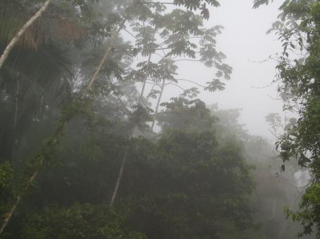 Guatemala