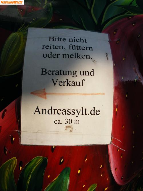 Deutschland: 2007_03240057 / Das Foto von der Erdbeer-Kuh selbst ist leider a bisserl zu groß, um es hier hochzuladen. 