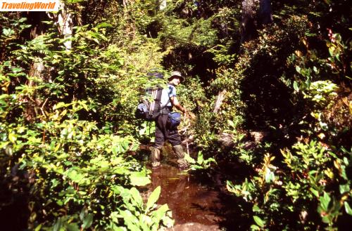 Kanada: KAN 75 WCT Mirko im Schlamm / West-Coast-Trail_Dschungel