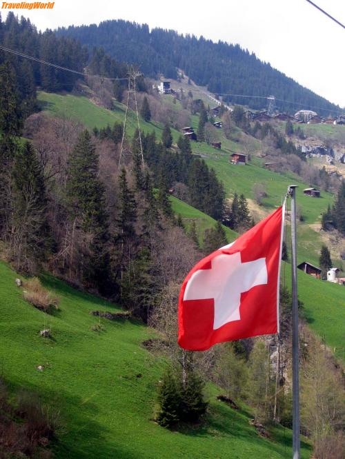 Schweiz: IMG_4512 / Schweizer Flagge