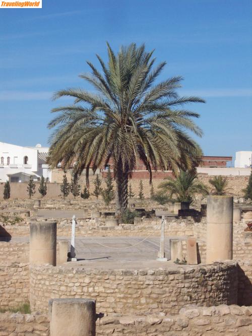Tunesien: 100_3638 / El Djem- Museeum