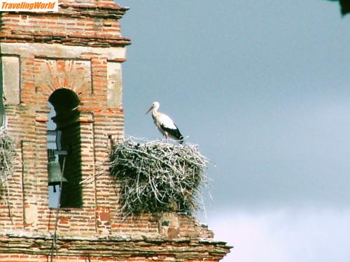 Spanien: KIF_2779 / Storch in Orbigo