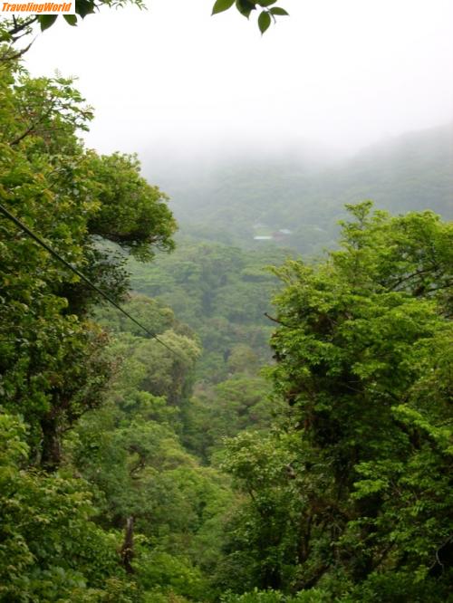 Costa Rica: Monteverde Reservat-Santa Elena (27)a / 