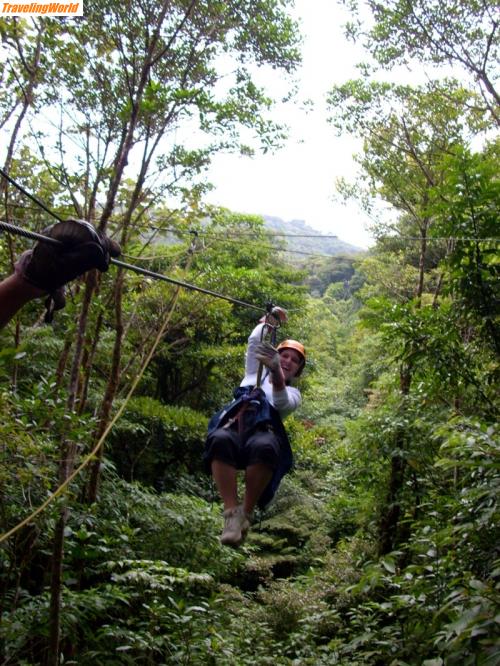 Costa Rica: Monteverde Reservat-Santa Elena (24)a / 