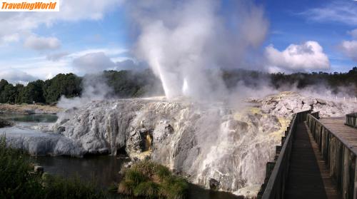 Neuseeland: 19 geyserrotoruagross / Geyser in Rotorua