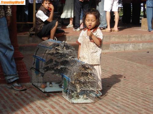 Kambodscha: DSC04217 / 