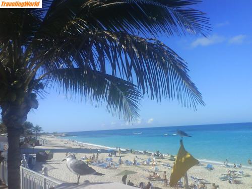 Bahamas: DSC00772 (1) / 