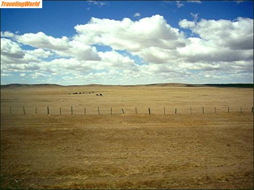 Mongolei: 02b6 In der Mongolei / 