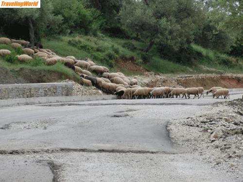 Albanien: Straßenverhältnisse-2 / \" Seitenverkehr \"