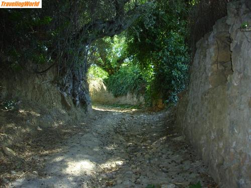 Griechenland: JD600866 / Wanderweg von Talanda zur Wassermühle