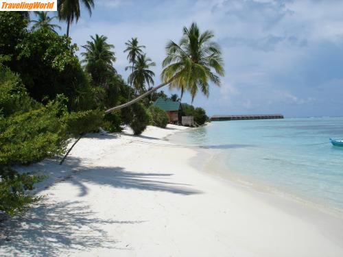 Malediven: DSC06716 / 