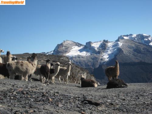 Bolivien: Cumbre1-1 / Cumbre 4800m