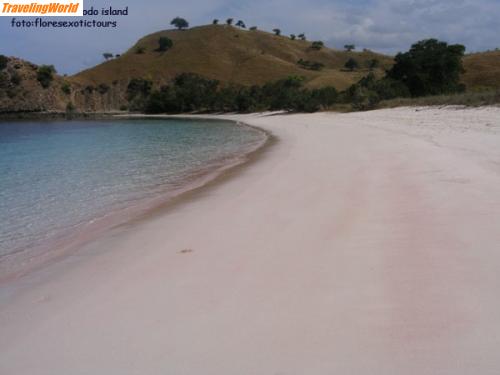 Indonesien: pink beach komodo island / 