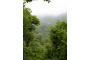 Costa Rica: Monteverde Reservat-Santa Elena (27)a