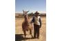 Peru: Mann mit Lama