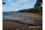 Dominikanische Republik: Playa Punta Popy 283
