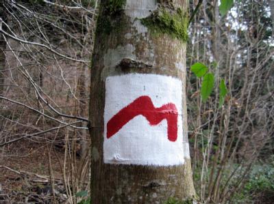 Wanderwege der Mullerthal-Route
