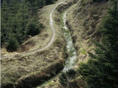 Eine Wanderung am Harzer Wasserregal