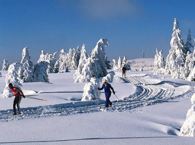 Langlaufen im Schwarzwald