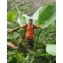 Userfoto