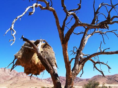 Namibia