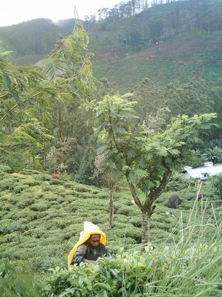 Sri Lanka
