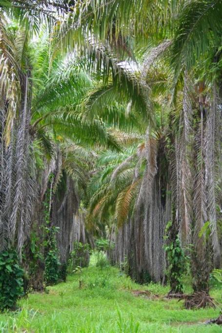 Costa Rica