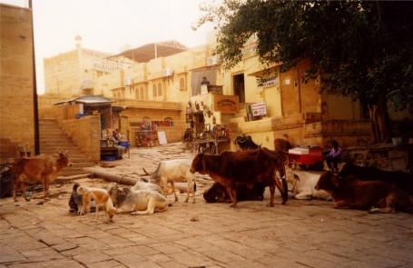 Indien