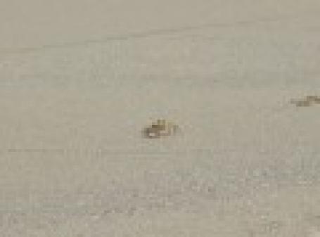 Dominikanische Republik