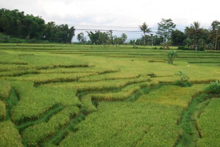 Indonesien