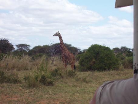 Kenia