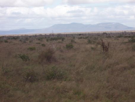 Kenia