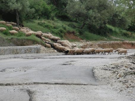 Albanien