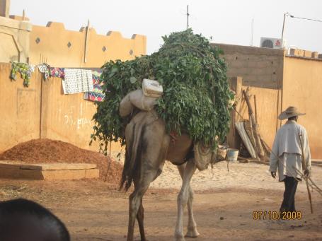 Niger