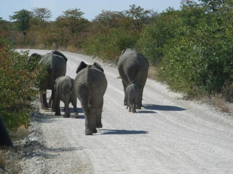 Namibia