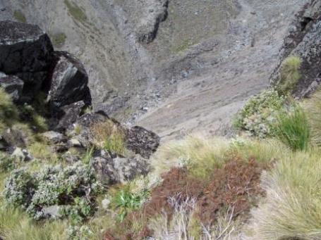 Neuseeland