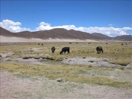 Bolivien