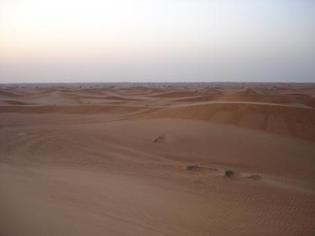 Vereinigte Arabische Emirate