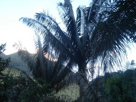 Bolivien