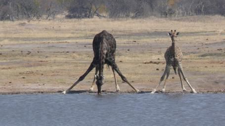 Simbabwe