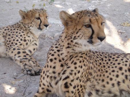 Namibia