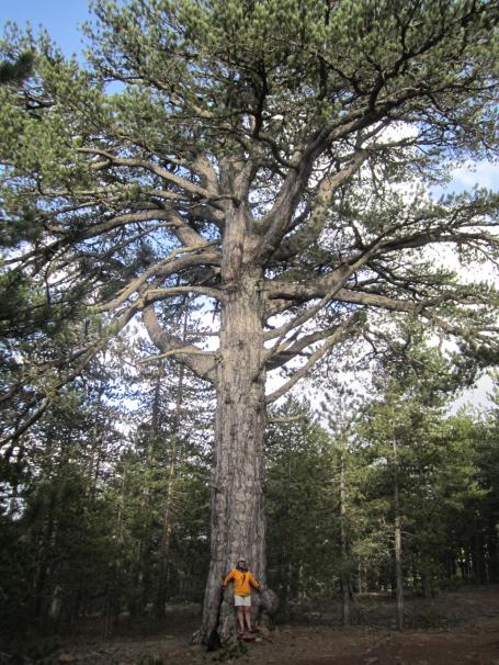 Zypern