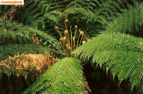 Australien: australien0018 / 