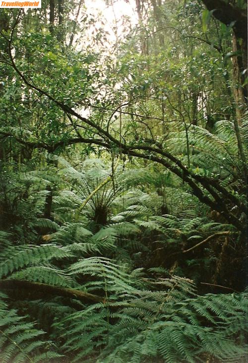 Australien: australien0017 / 