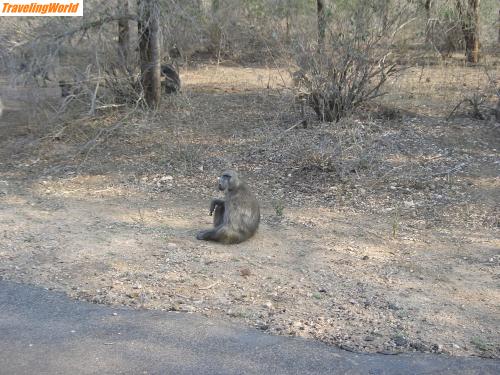Sdafrika: CIMG0331 / 