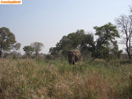 Sdafrika: CIMG0323 / 