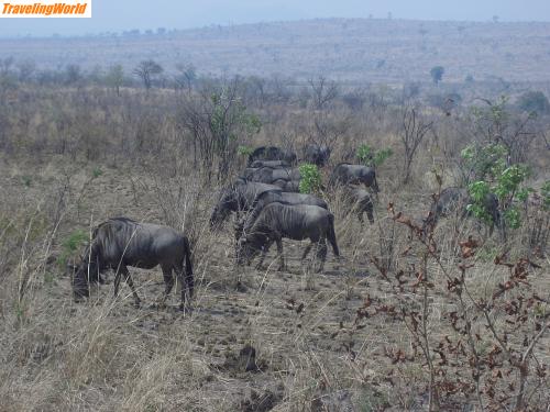 S�dafrika: CIMG0333 / 