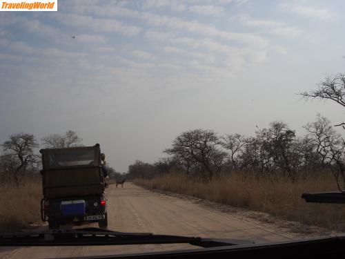 Sdafrika: CIMG0321 / 