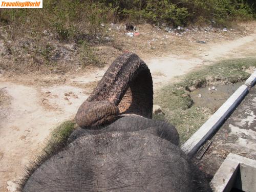 Thailand: R0017187 / 